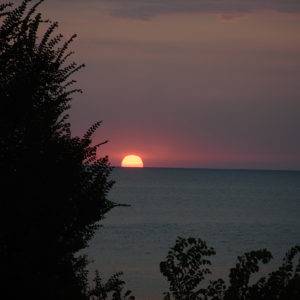 July_Morning (6) July_Morning (6)