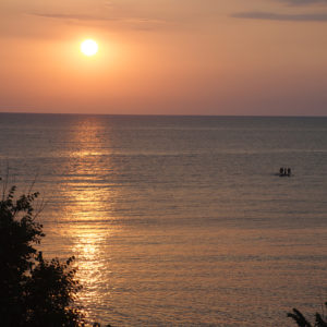 July_Morning (7) July_Morning (7)