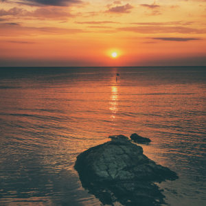 July_Morning (9) July_Morning (9)