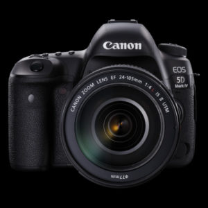 TOAD FRT w EF 24-105mm Beauty