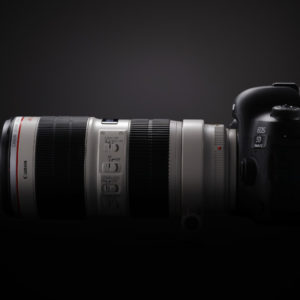 TOAD SIDE RIGHT 02 Beauty