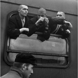 Участие в изложби:
# Berega 2010, Russia, FIAP GOLD MEDAL, FIAP 2010/067
# Art Photo 2012, Negotin, Serbia, Serbia, FIAP 2012/078, 079, 080