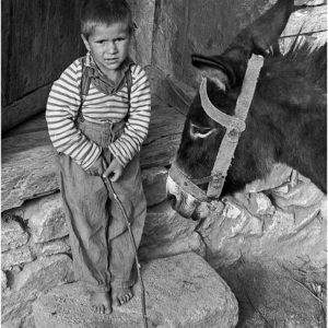 Участие в изложби:
# Omni Candid 11 Digital, Belgium, FIAP 2012/192