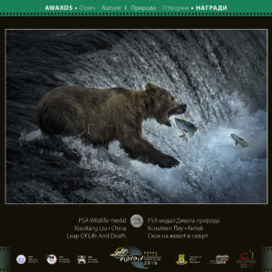 3rd_IPS_Plovdiv_2016_15