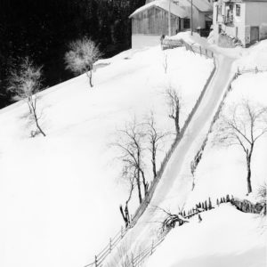 0 R UMAX     PL-II            V1.2 [2]