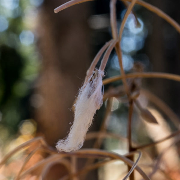 Canon_EOS_M5_41
