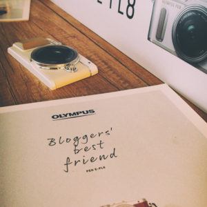 OLYMPUS DIGITAL CAMERA