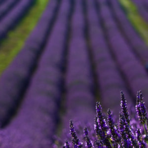 Claudio_Ciardi (4 of 20)