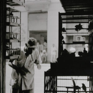 arch.Popov (11 of 52)