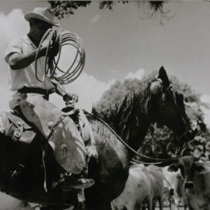 arch.Popov (24 of 52)