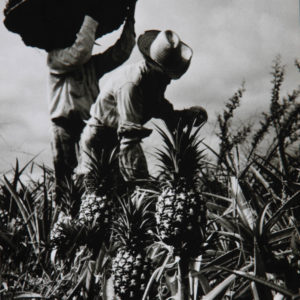 arch.Popov (32 of 52)