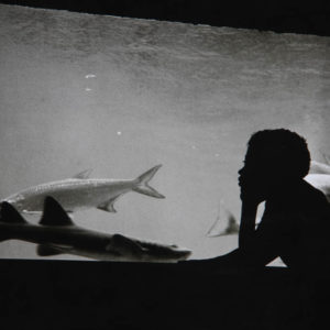 arch.Popov (34 of 52)