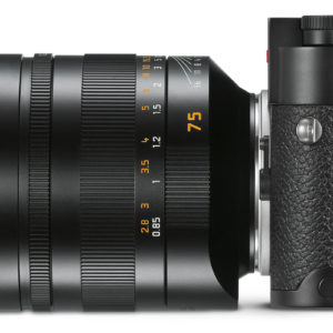 Leica M10_Leica Noctilux-M_1_25_75_ASPH_left_RGB