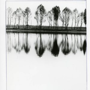 NStoichkov (50 of 98)