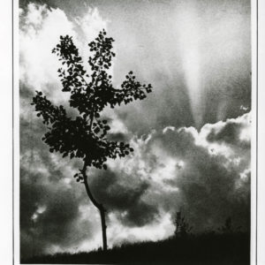 NStoichkov (56 of 98)