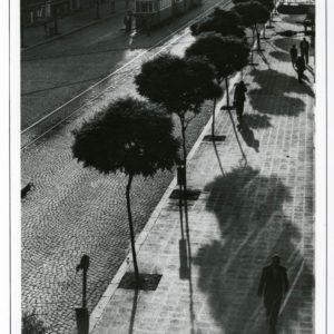 NStoichkov (57 of 98)