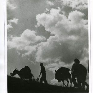 NStoichkov (60 of 98)