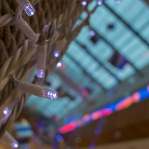 Canon_G1X_Mк_III_36