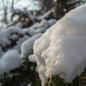 Canon_G1X_Mк_III_37