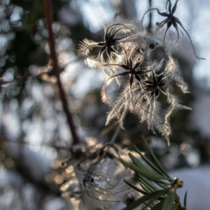 Canon_G1X_Mк_III_38