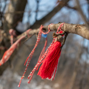 Canon_G1X_Mк_III_39