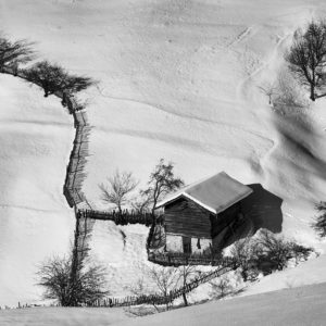 EB8A3009 as Smart Object-1