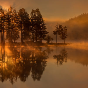 EB8A4073 as Smart Object-1