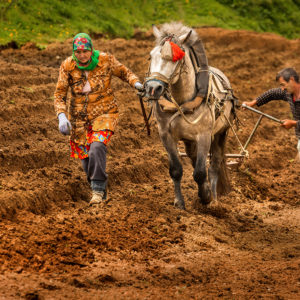 EB8A4244 as Smart Object-1