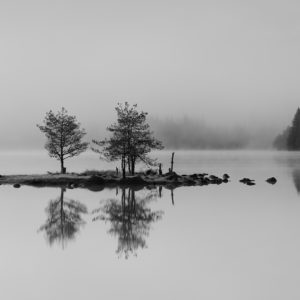 EB8A4708 as Smart Object-1