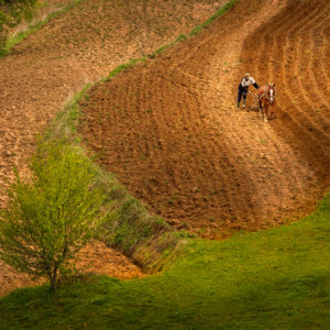 EB8A4883 as Smart Object-1