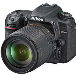 Nikon_D7500_50