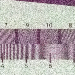 Nikon_D7500_ISO_409600