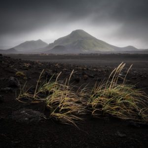 Злато: Иван Иларионов