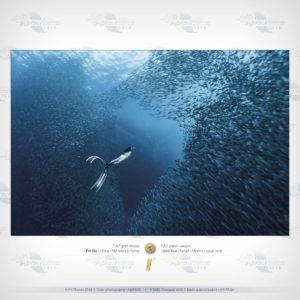 2_Color_FIAP_Gold_01