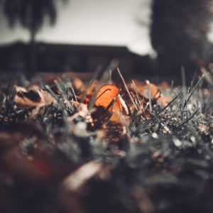 Hanna Saba_AF 24mm F2.8 FE (6)