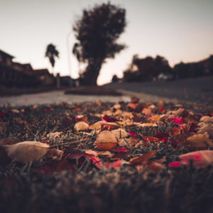 Hanna Saba_AF 24mm F2.8 FE (8)