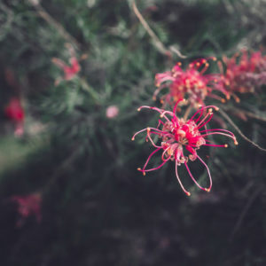 Hanna Saba_AF 24mm F2.8 FE (9)