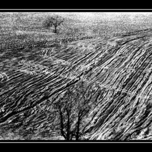 NSFA_Nedko_Nedev (16 of 18)