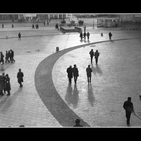 NSFA_Nedko_Nedev (18 of 18)