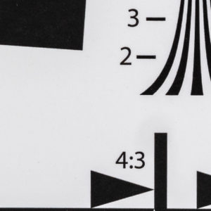 Loxia_25_Down_Right_4