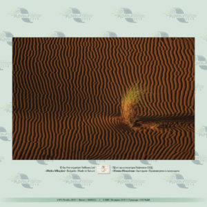 V_IPS_Plovdiv_2018_3-1 V_IPS_Plovdiv_2018_3-1