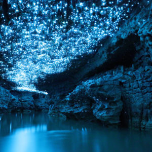 Canon_EOS_R_One_Year_1