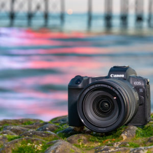 Canon_EOS_R_One_Year_5