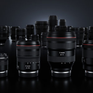 Canon_EOS_R_One_Year_6