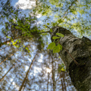 Zenitar_16_fisheye_15