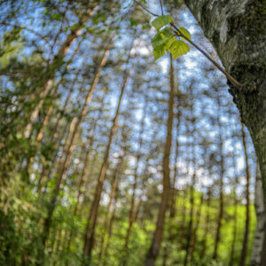 Zenitar_16_fisheye_16