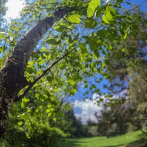 Zenitar_16_fisheye_17