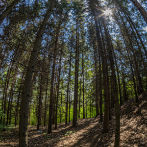 Zenitar_16_fisheye_18