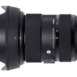 sigma61119_1