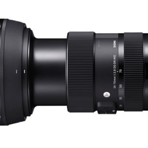 sigma61119_2